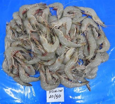 Headless Flower Shrimps K V Marine Exports Chennai