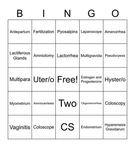 Reproductive System Bingo Card