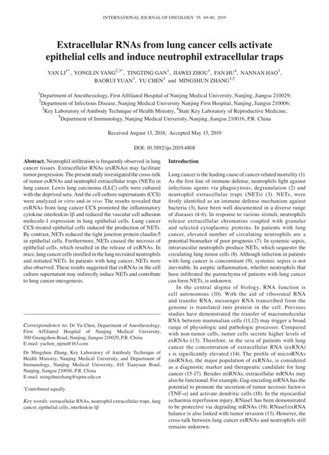 Pdf Extracellular Rnas From Lung Cancer Cells Activate Epithelial
