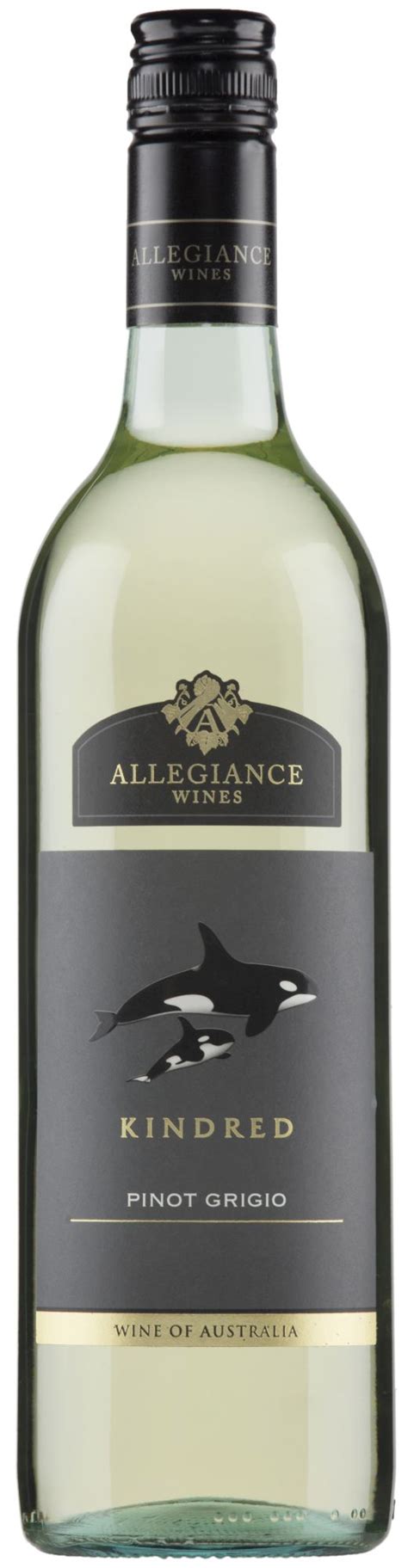 Allegiance Wines Kindred Pinot Grigio 2024 Allegiance Wines