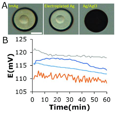 A Electroplated Ag Agcl Reference Electrode Photographs Left To Download Scientific Diagram