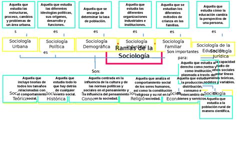 Ramas De La Sociologia Aquella Que Estudia Cómo La Educación Cambia