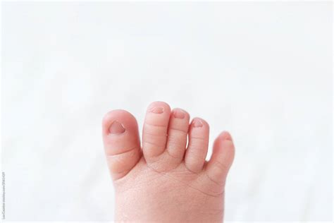 "Tiny Newborn Baby Toes" by Stocksy Contributor "Lea Csontos" - Stocksy