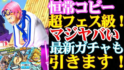 【神回】恒常コビー100レべが超フェス級に強い！最新ガチャも引きます！【バウンティラッシュ】 Youtube