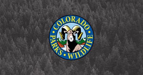 Colorado Parks and Wildlife unveils website redesign | VailDaily.com