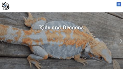 10 Best Bearded Dragon Breeders of 2024: Our Top Picks | Pet Keen