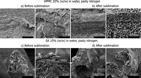 Sem Micrographs Of Hpmc Top And Sa Bottom In Water Before And