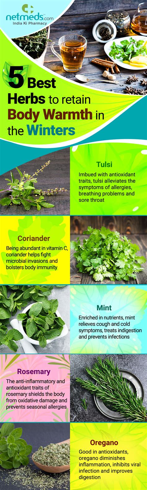 Winter Wonders 5 Spectacular Ayurvedic Herbs To Keep Your Body Warm In