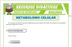 Metabolismo Celular Para Cuarto De Secundaria Recursos Did Cticos