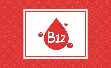 Wat Is Een Functioneel Vitamine B12 Tekort