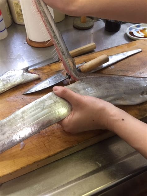 魚さばき方教室 太刀魚 手しごと厨のブログ