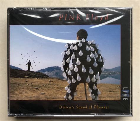 Pink Floyd Delicate Sound Of Thunder Cd Duplo Selado De F Brica Cac M E