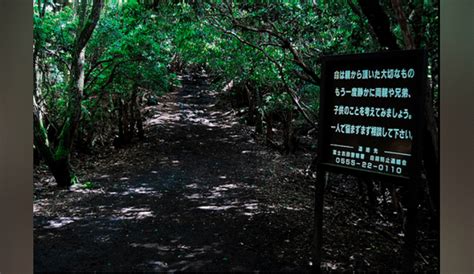 Google Maps Conoce Todo Sobre Aokigahara El Bosque De Los Suicidios