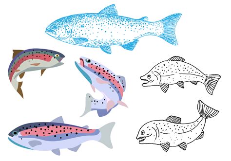 Hand Drawn Rainbow Trout Vector - Download Free Vector Art, Stock ...