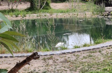 Observatório de aves Piscinas Biológicas