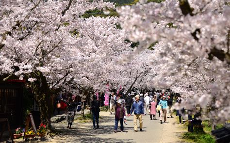 秋月・原鶴温泉などの観光情報｜あさくら観光協会【公式】 風景 アーカイブ 秋月・原鶴温泉などの観光情報｜あさくら観光協会【公式】