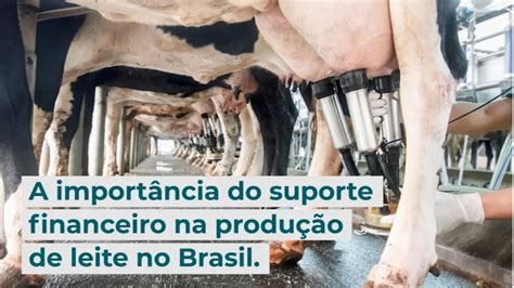 A Import Ncia Do Suporte Financeiro Na Produ O De Leite No Brasil