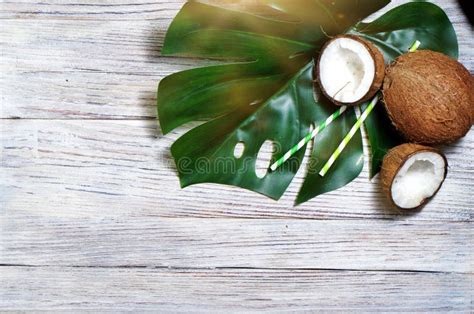 Cocos Y Hoja Tropical De La Planta Del Monstera Con Un C Ctel De Papel