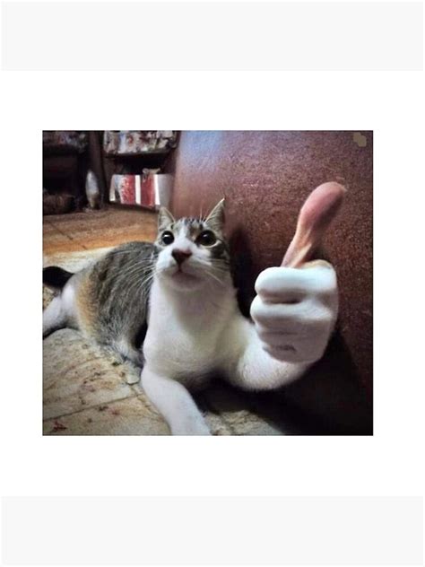 Funny cat meme human hand thumbs up Pin sold by Attentive Spoor | SKU 90366277 | 50% OFF Printerval