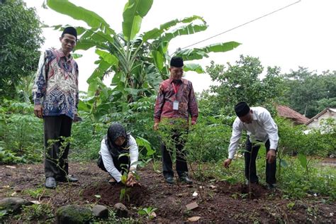 24 430 Anggota KPPS Jepara Tanam Bibit Pohon Di TPS Masing Masing