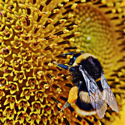 On the Cusp of Climate Change - The New York Times