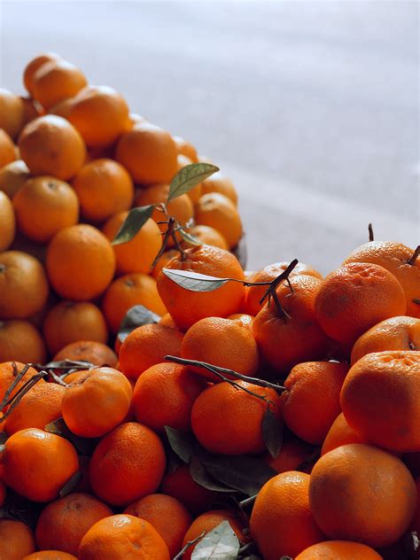 Orange Fruits · Free Stock Photo