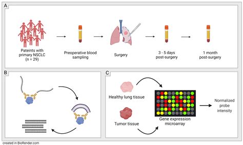 Biomedicines Free Full Text Quantitative Proteomics Indicate