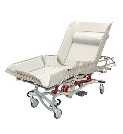 Scaleo Shado RGO 200-240kg Adult Electric Shower Trolley Backrest and ...