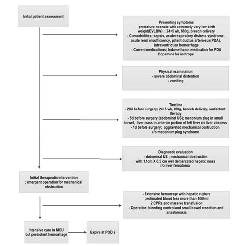 Patients Flow Chart Of Clinical Feature Nicu Neonatal Intensive Download Scientific Diagram