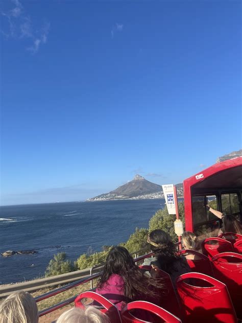 A Guide To The Constantia Wine Bus The Cape Town Blog