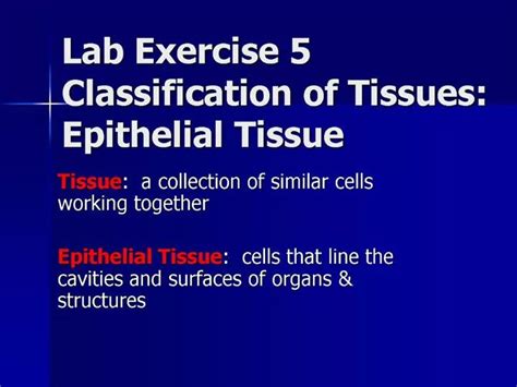 Ppt Lab Exercise 5 Classification Of Tissues Epithelial Tissue