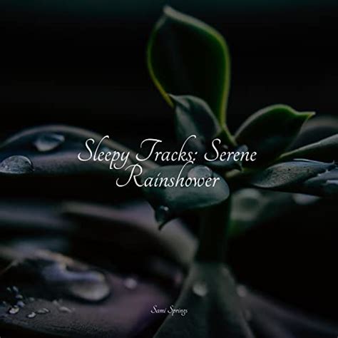 Couter Sleepy Tracks Serene Rainshower De Serenity Spa Music