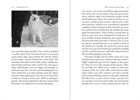 Finding the Fox – Greystone Books Ltd.