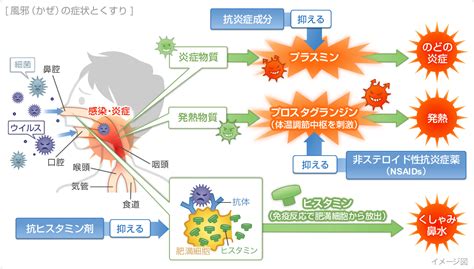 風邪（かぜ）の対策｜くすりと健康の情報局