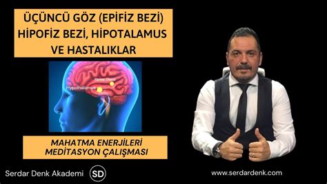 Epifiz Bezi Nedir Üçüncü Göz Nasıl Açılır Hipofiz Bezi Meditasyonu