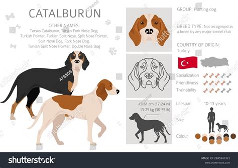 6 Catalburun Images, Stock Photos & Vectors | Shutterstock