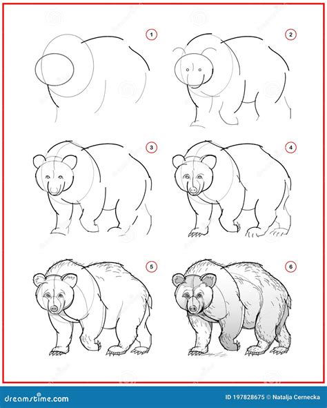 Strona Pokazuje Jak Nauczyć Się Rysować Szkic Uroczego Niedźwiedzia