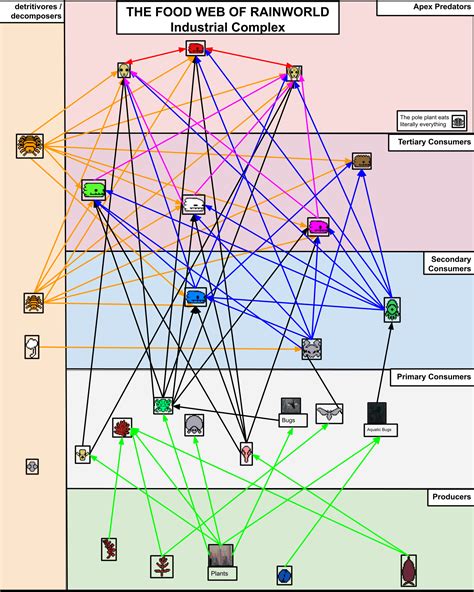 Complex Food Web For Industrial Complex : r/rainworld