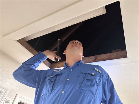 Exterminator, Pest Control, & Termite Control Services ~ Clearwater