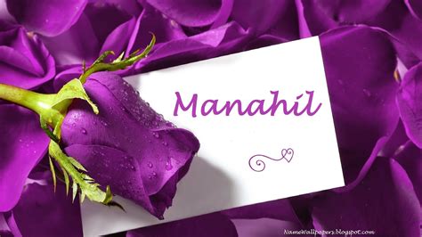 Manahil Name Wallpapers Manahil Name Wallpaper Urdu Name Meaning Name