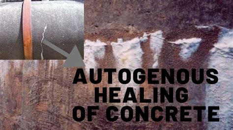 Autogenous Healing Of Concrete Youtube