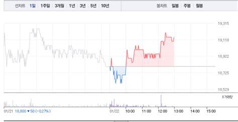 씨젠·바이오니아 코로나 진단키트 관련주 모두 상승세로씨젠 3 상승 이어 바이오니아 2 상승