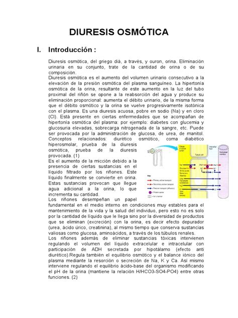 Diuresis Osmótica: Conceptos y Causas | PDF | Sodio | Orina
