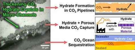 Carbon Dioxide Hydrate Crystallization Thickening Morphology In A