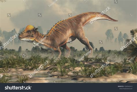 Brown Pachycephalosaurus Prehistoric Wetland Pachycephalosaurus Known