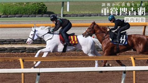 【ヴィクトリアm 2023】最終追い切りを動画で解説井内利彰 競馬予想動画 Netkeiba