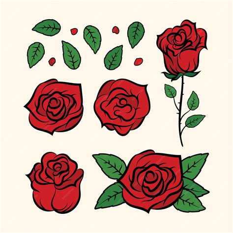 Premium Vector Vector Hand Drawn Red Rose Flower Collection