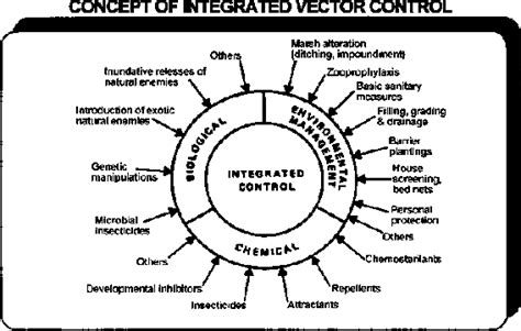 vector control  vectorifiedcom collection  vector control