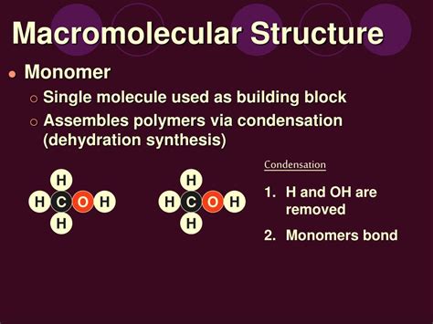 PPT - Macromolecules PowerPoint Presentation, free download - ID:2045119