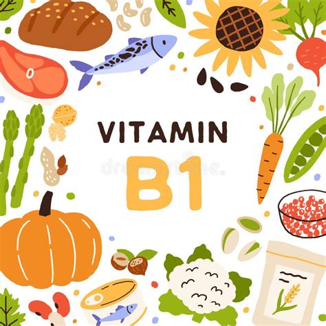 Vitamin B Fruits Vegetables Stock Illustrations Vitamin B Fruits